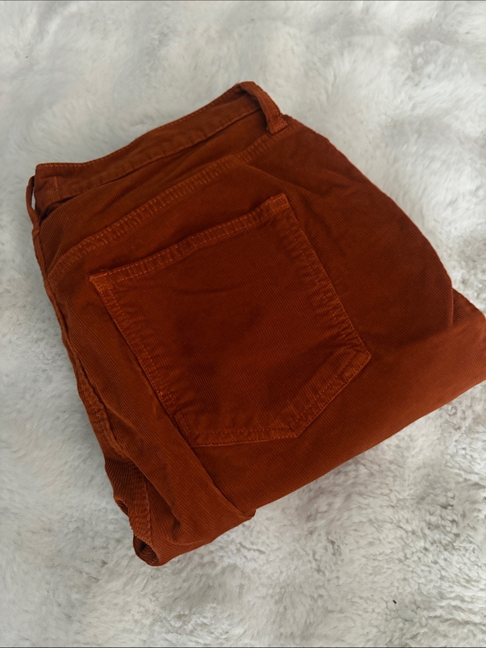 We The Free Rust Orange Corduroy Cropped Pants